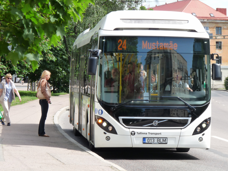 Autobus komunikacji miejskiej w Tallinie